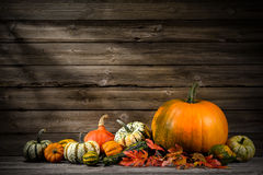 thanksgiving-day-autumnal-still-life-pumpkins-old-wooden-45272311