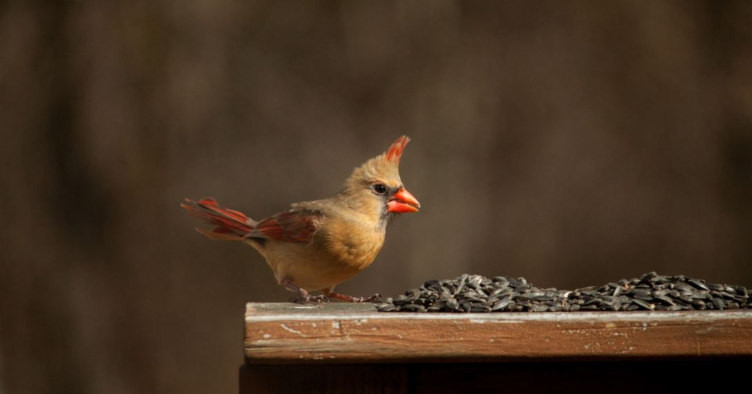 12783619_10207437053917831_8998086876092327169_o