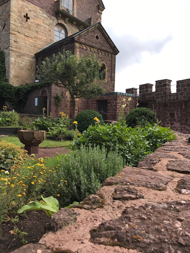 23114755_10157259710362925_1254818065_n