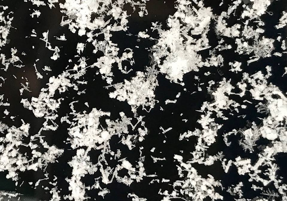 26856732_10157529356247925_1599296536_n