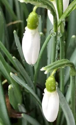 28058950_10157606307212925_6252833270404464462_n