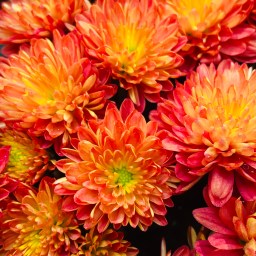 Feeling the Spirit…These Days